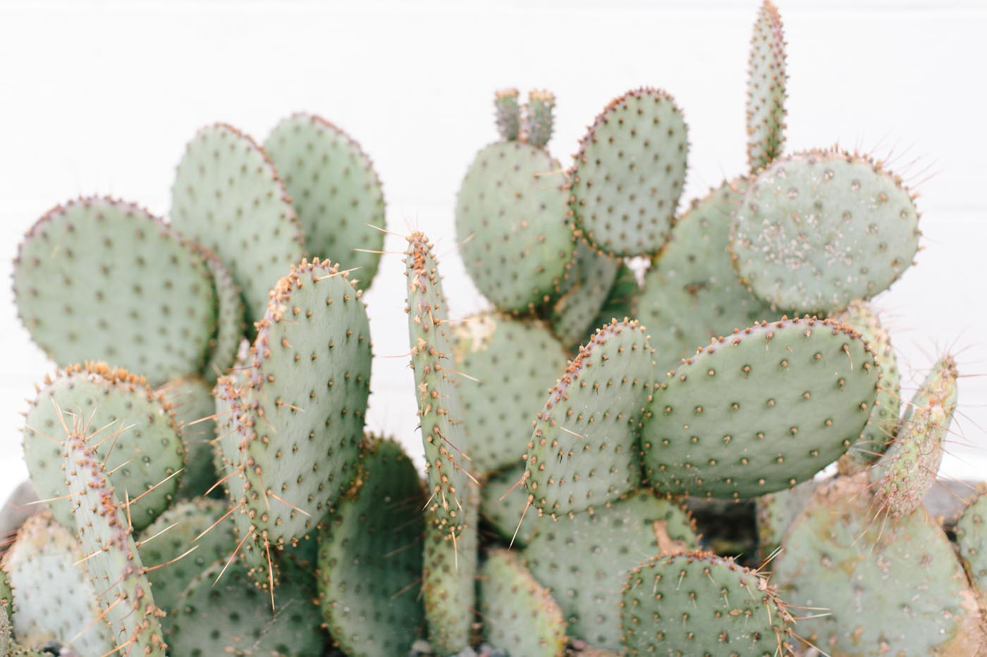 17 Things You Can t Claim In Your Tax Return Platinum Accounting